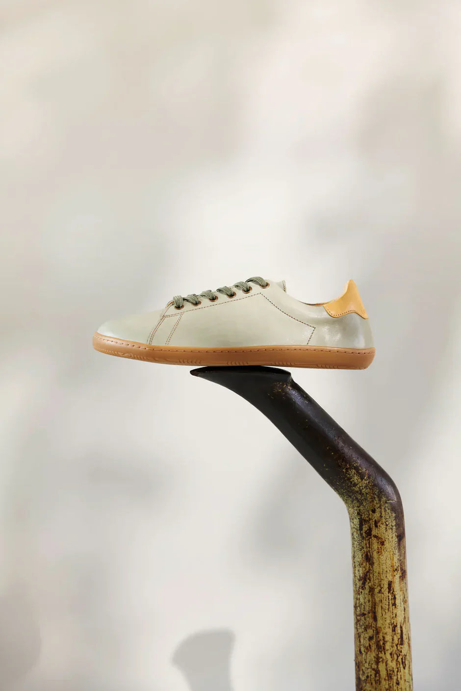 Vinci's