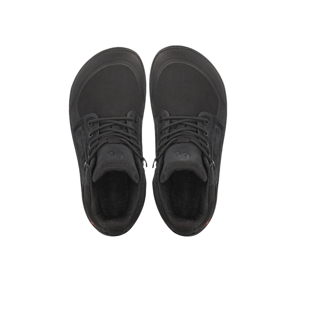 Be Lenka Arctic Edge